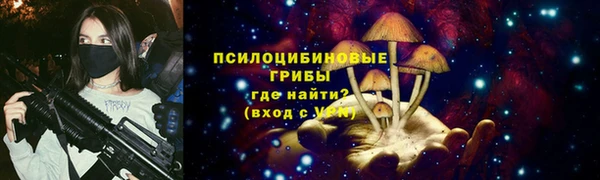 ешки Медвежьегорск