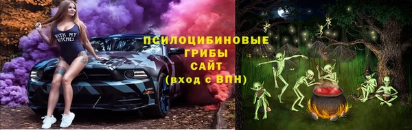 соль ск Мегион