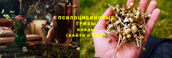 эйфоретик Медногорск