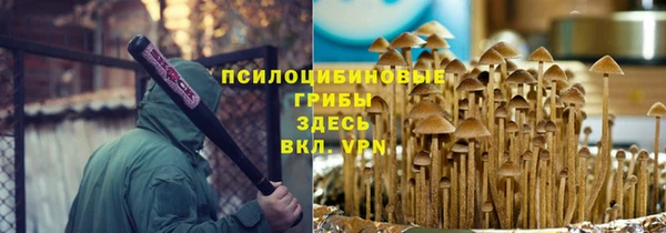 ешки Медвежьегорск